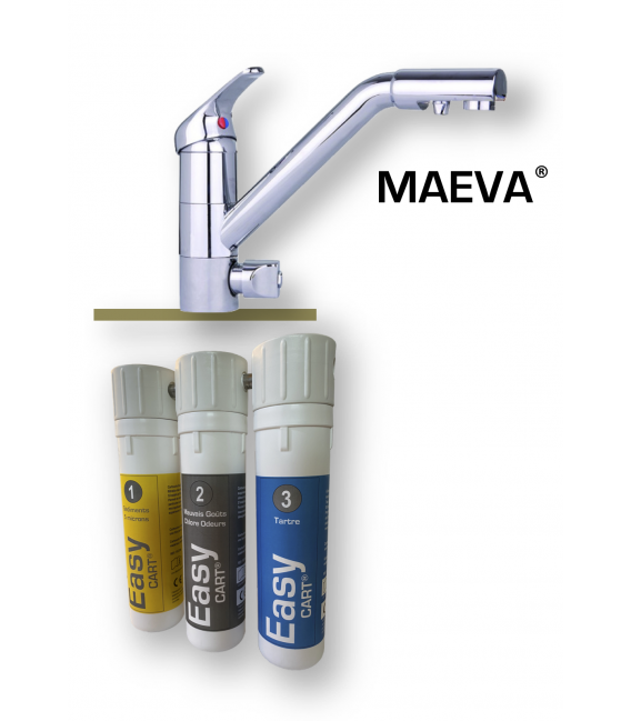 Combiné EASY avec robinet mitigeur MAEVA Filtres TRIO