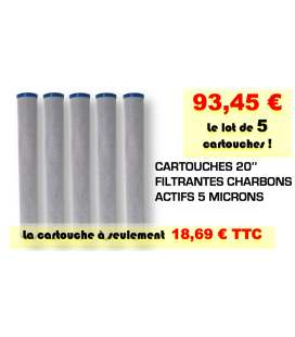 Cartouche traitement d'eau 20'' sediments 20 micron - LOT 5 CARTOUCHES CAR20X