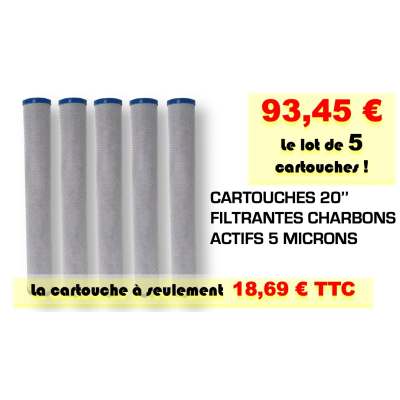 Cartouche filtre pour eau Charbons actifs 5 microns Taille 20'' - Lot par 5