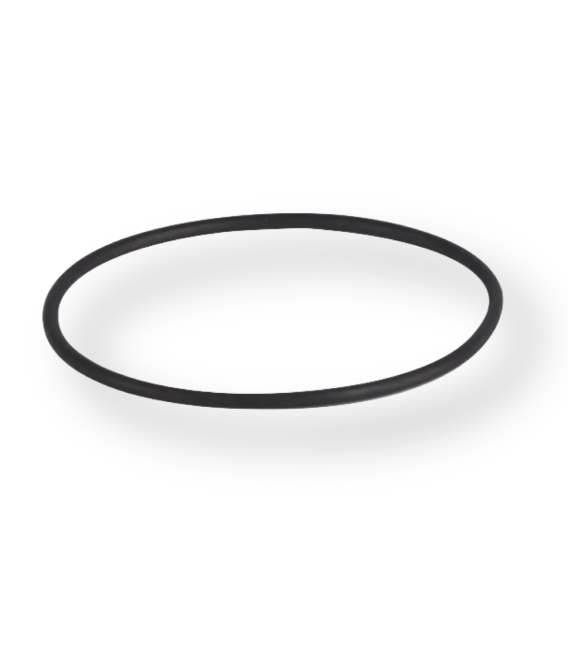 Joint pour filtre - JOINT ECOBIGBLUE10