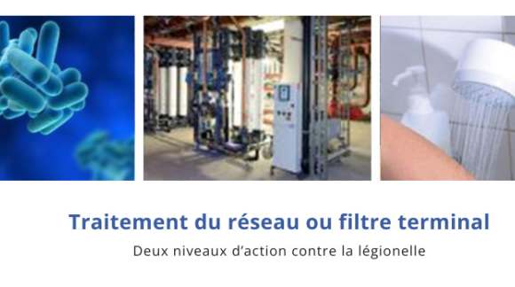 Choix de solution anti l&eacute;gionelle : filtre terminal vs traitement du r&eacute;seau